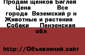 Продам щенков Биглей › Цена ­ 15 000 - Все города, Вяземский р-н Животные и растения » Собаки   . Пензенская обл.